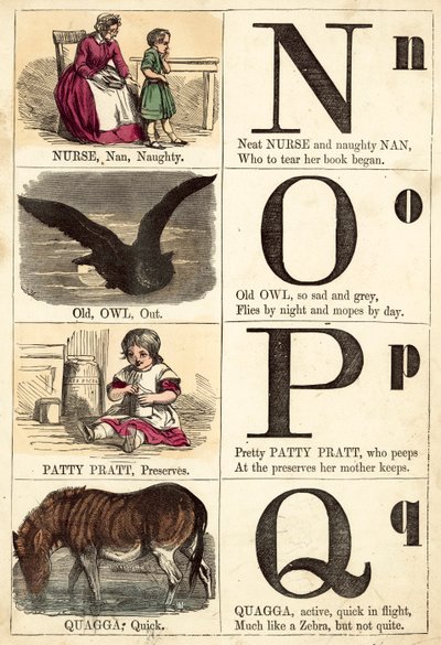 Picture Alphabet by English School